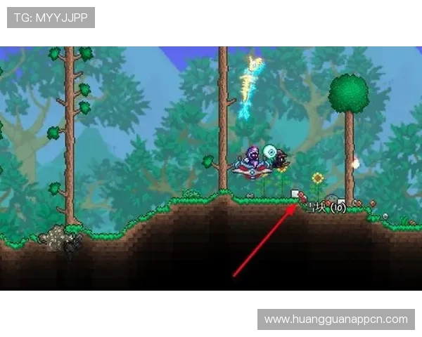 皇冠注册游戏常见问题汇总,解决注册过程中遇到的各种疑难问题